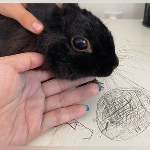 Meet your Posher, Jeanny